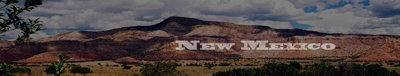 new-mexico-state-tint-laws