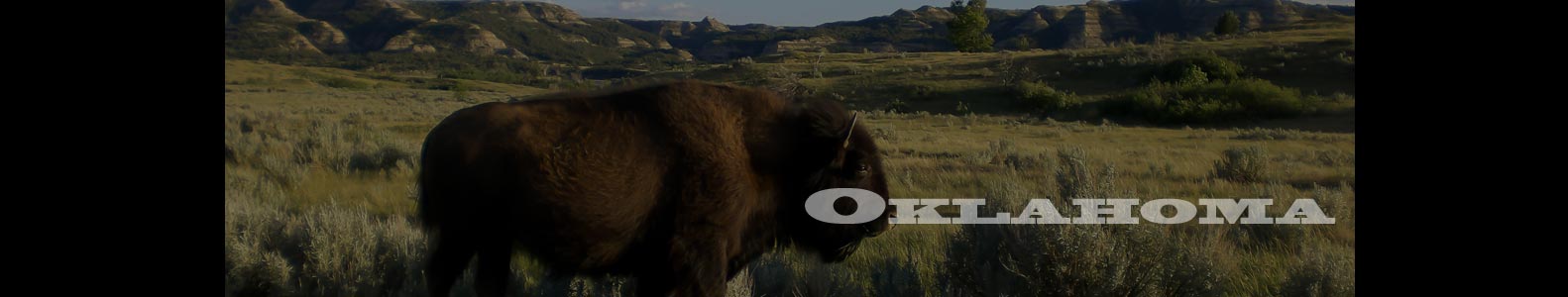 oklahoma-state-tint-laws